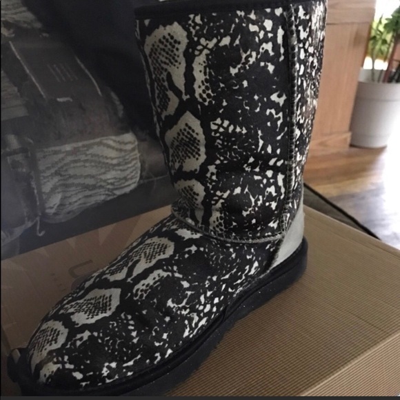 UGG | Shoes | Snake Print Ugg Boots 